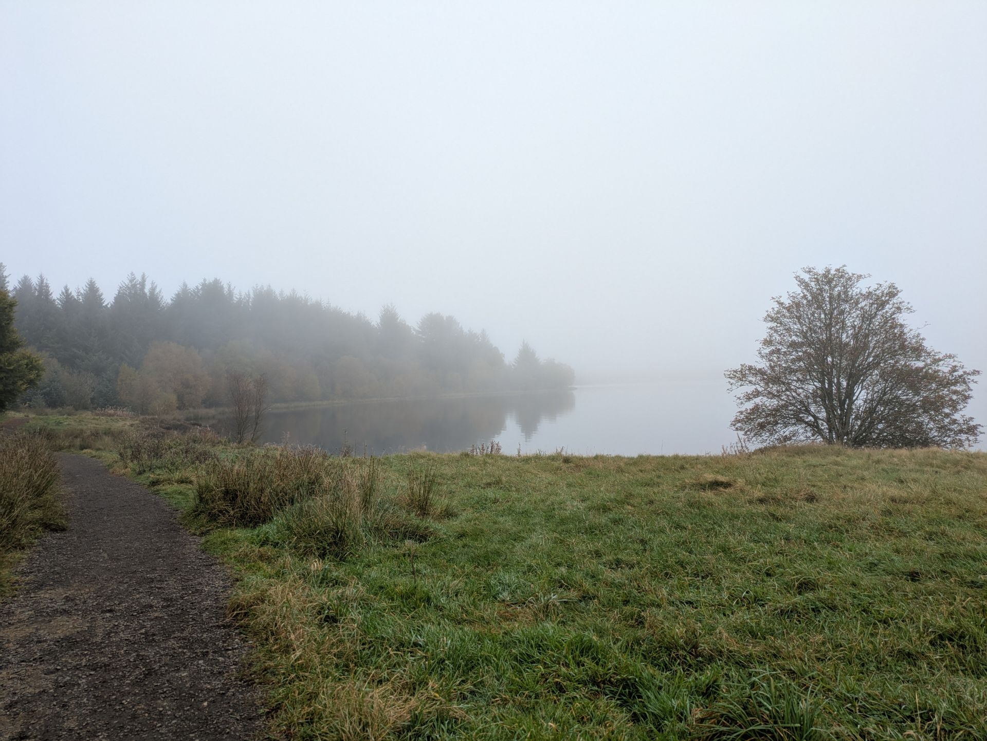 Fannyside Loch in mist